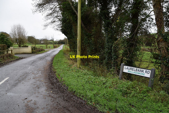 Photo 6"x4" Laurelbank Road Omagh c2021