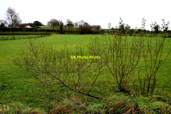 Photo 6"x4" Rakeeragh Townland Omagh c2021