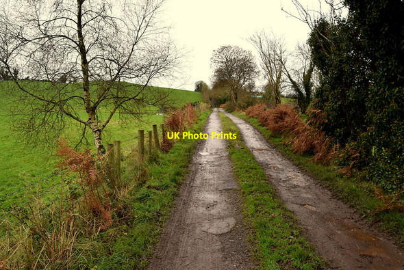 Photo 6"x4" A rough road, Rakeeragh Omagh c2021