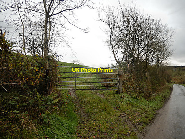 Photo 6"x4" Field Gate Attanagh c2021