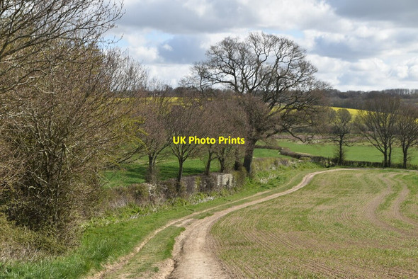 Photo 6"x4" High Weald Landscape Trail Tenterden c2021