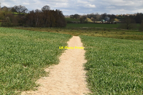 Photo 6"x4" High Weald Landscape Trail Tenterden c2021 P1