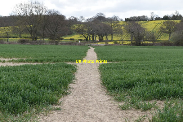 Photo 6"x4" Footpath across field Tenterden c2021