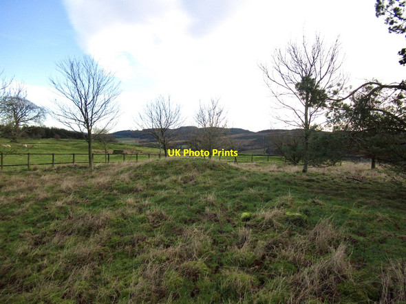 Photo 6"x4" Keith Hills, summit Hill End\/NT0395 c2021