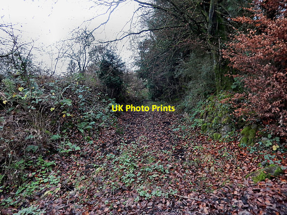Photo 6"x4" Disused Lane Castlecomer c2021