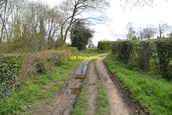 Photo 6"x4" Byway, The Quarter Tenterden c2021 P3