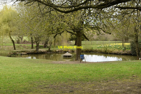 Photo 6"x4" Pond, The Quarter Tenterden c2021