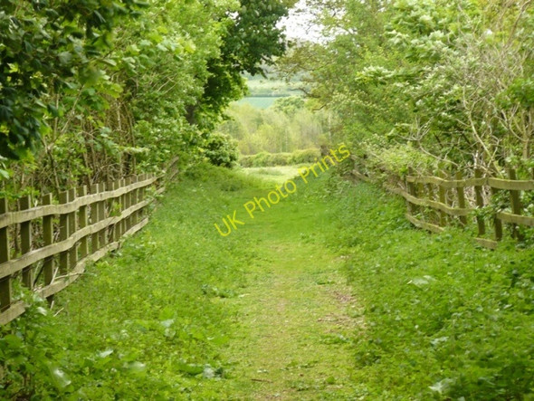 Photo 6"x4" Ratcliffe on Soar wood Kingston on Soar c2009