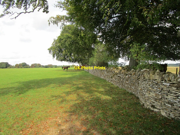 Photo 6"x4" Horses at Gloucester Beeches Edgeworth c2021