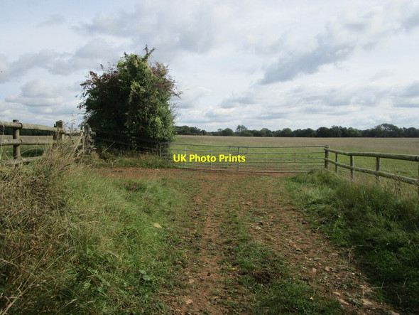 Photo 6"x4" Gate on a bridleway to Park Corner Daneway c2021