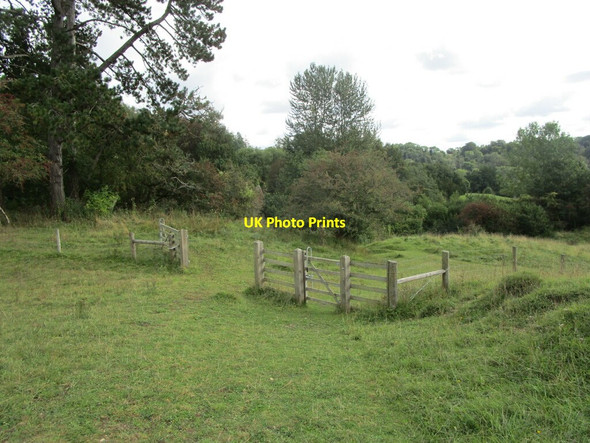 Photo 6"x4" Gates on Daneway Banks nature reserve Daneway c2021