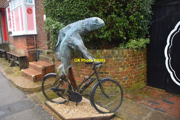 Photo 6"x4" Fish on a bicycle, Ticehurst Dale Hill\/TQ6930 c2021