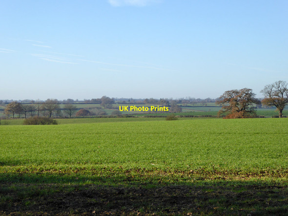 Photo 6"x4" View west from near Caswell Grimscote c2016