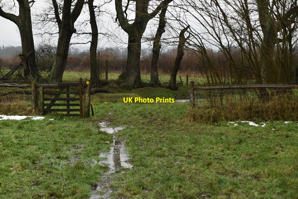 Photo 6"x4" A rather soggy footpath Dale Hill\/TQ6930 c2021