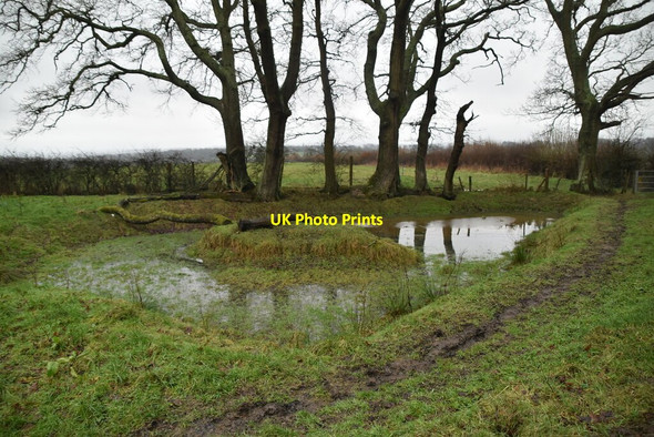 Photo 6"x4" A small pond Dale Hill\/TQ6930 c2021