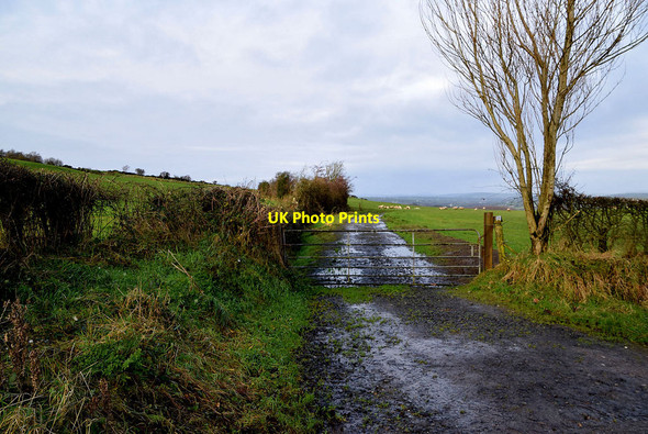 Photo 6"x4" Laneway along a field, Newtownstewart Newtownstewart c2021