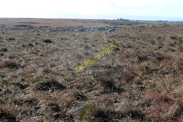 Photo 6"x4" Leitir Fir (Letterfir) Loughaunbeg c2009