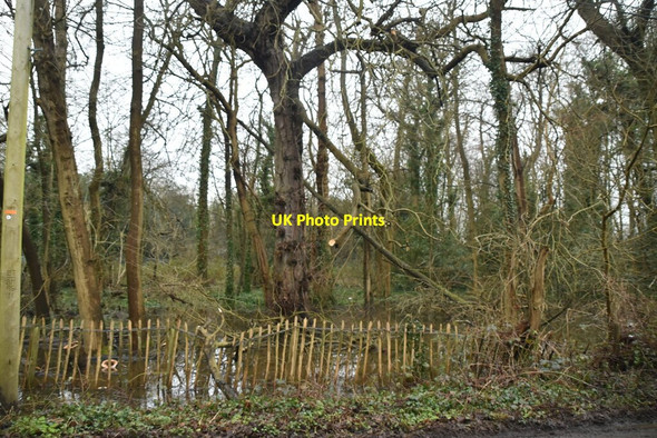 Photo 6"x4" The Wilderness Borough Green c2021