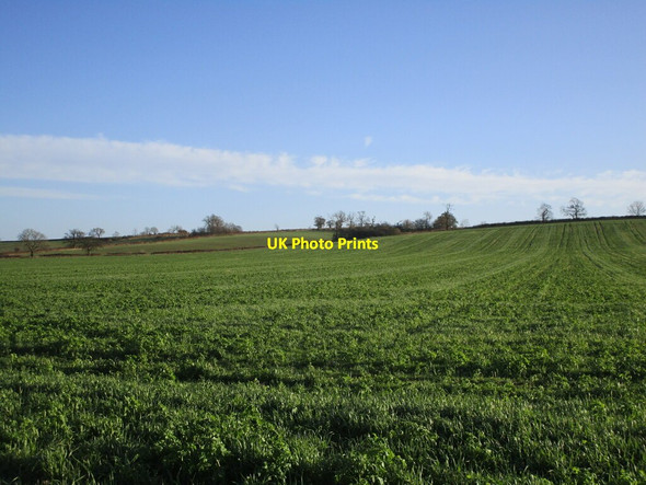 Photo 6"x4" Leesthorpe Hill Leesthorpe c2021