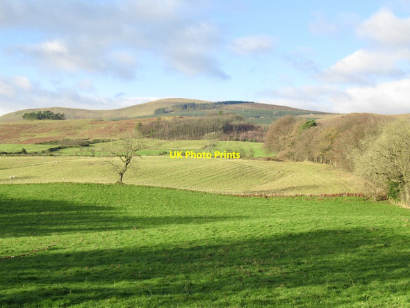 Photo 6"x4" View towards the Ochils Dollar c2021