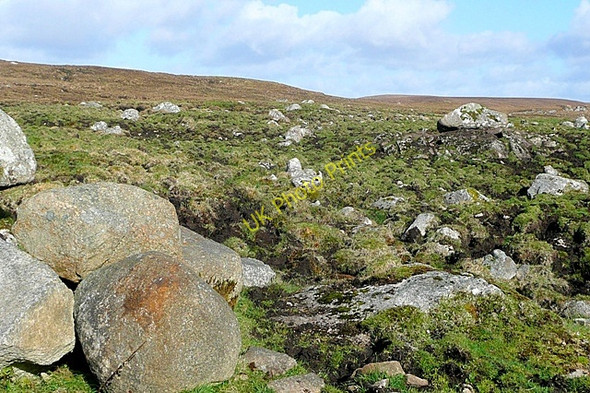 Photo 6"x4" Leitir Fir (Letterfir) Loughaunbeg c2009 P1