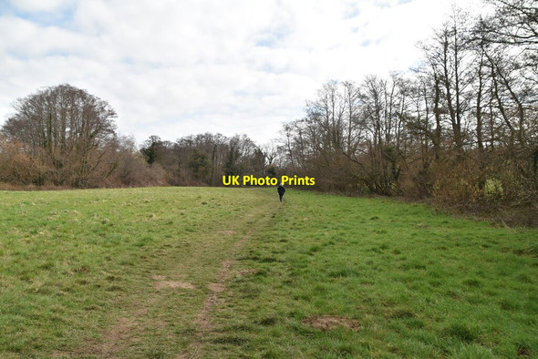 Photo 6"x4" Footpath in the Dudwell Valley Burwash Weald c2021