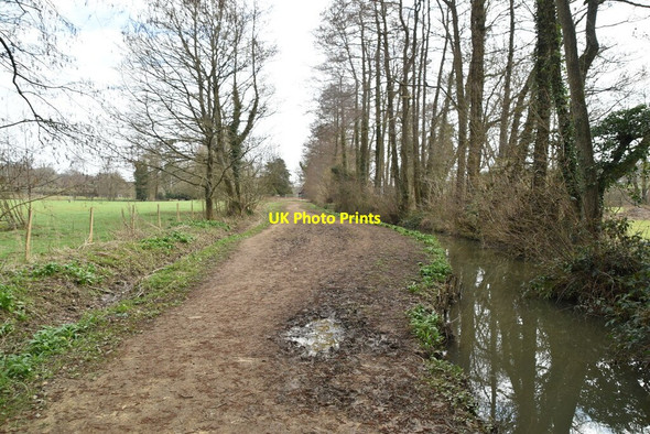 Photo 6"x4" Footpath by River Dudwell Burwash Weald c2021