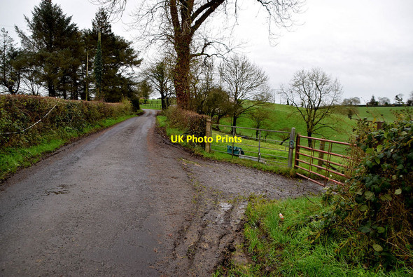 Photo 6"x4" Muddy along Rosemary Road Omagh c2021