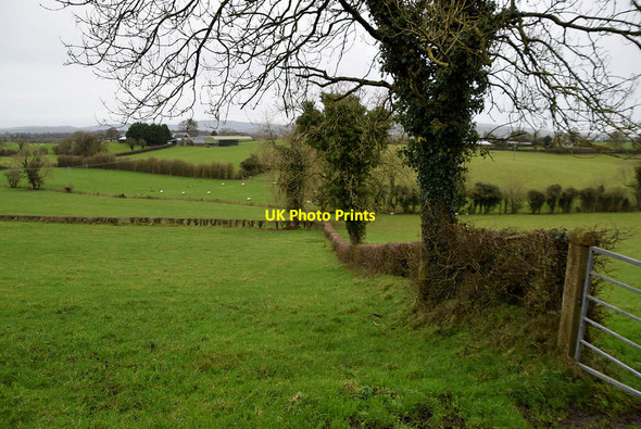 Photo 6"x4" Mullaghmenagh Lower Omagh c2021
