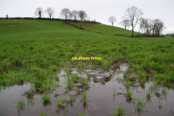 Photo 6"x4" A wet field, Deer Park (Clarke) Omagh c2021