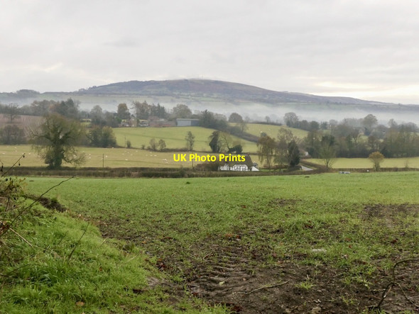 Photo 6"x4" Field and Brown Clee, Shipton Shipton\/SO5691 c2021