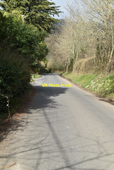Photo 6"x4" Spring Lane Burwash c2021