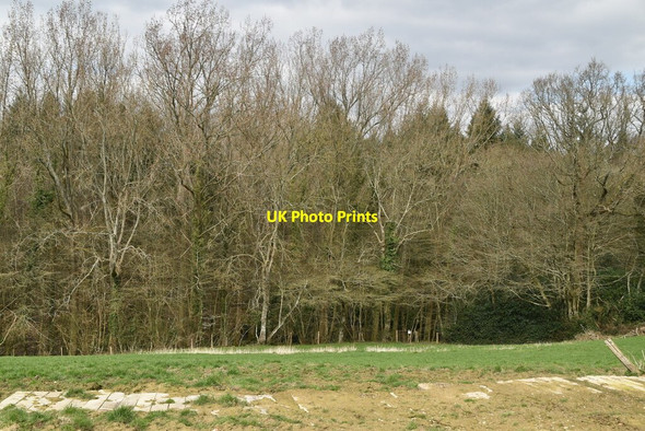 Photo 6"x4" Church Wood Southover\/TQ6525 c2021