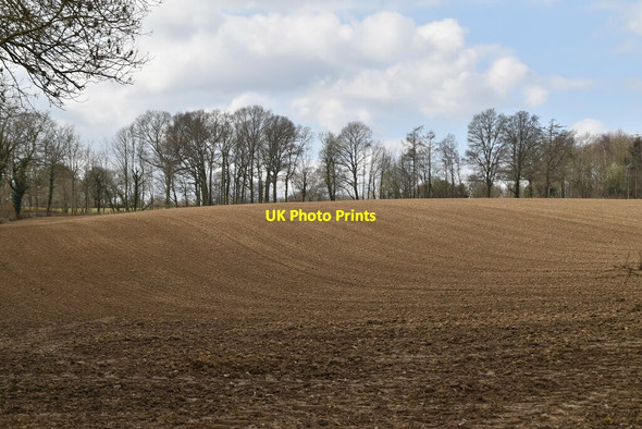Photo 6"x4" Ploughed field Southover\/TQ6525 c2021