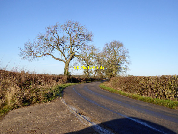 Photo 6"x4" Road towards Stratton Audley, 2016 Marsh Gibbon c2016