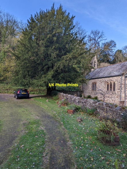 Photo 6"x4" Tree, church and car, Mounton, Monmouthshire Chepstow\/Cas-Gwent c2021
