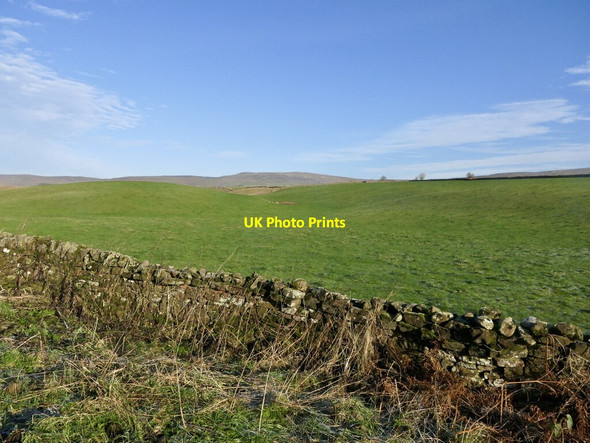 Photo 6"x4" Field by Mastone Steps Dale\/NY5444 c2021