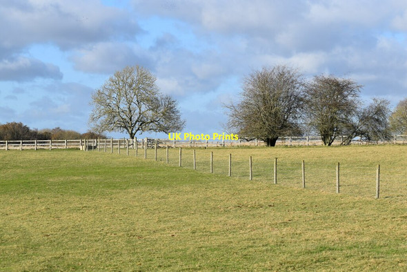 Photo 6"x4" Fields beside Bighton Hill North Street\/SU6433 c2021