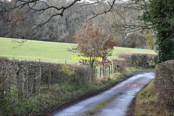 Photo 6"x4" Suttonwood Lane Gundleton c2021