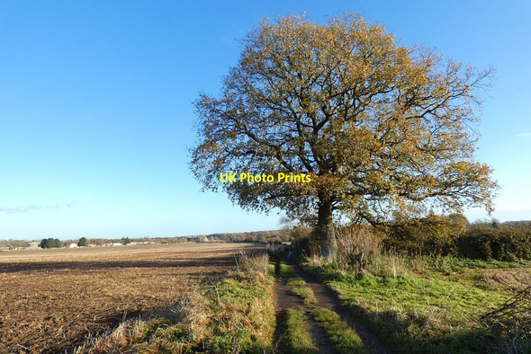 Photo 6"x4" Farmland, Old Basing Church End\/SU6756 c2021