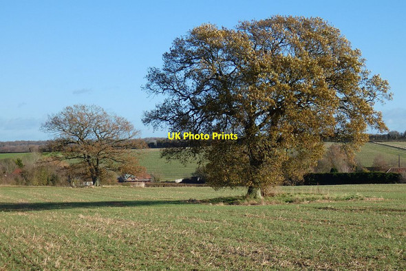 Photo 6"x4" Farmland, Mapledurwell Mapledurwell c2021