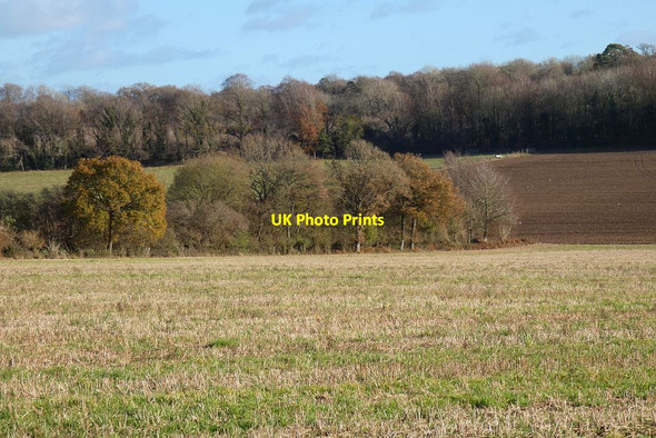 Photo 6"x4" Farmland, Tunworth Tunworth c2021