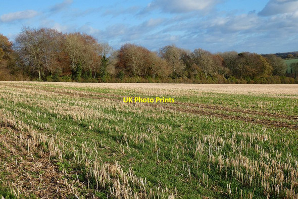 Photo 6"x4" Farmland, Weston Corbett Weston Corbett c2021