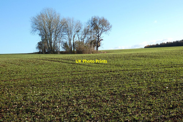 Photo 6"x4" Farmland, South Warnborough South Warnborough c2021
