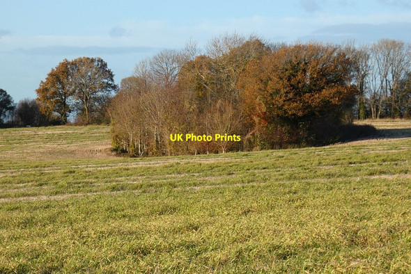 Photo 6"x4" Farmland, Long Sutton Long Sutton\/SU7347 c2021