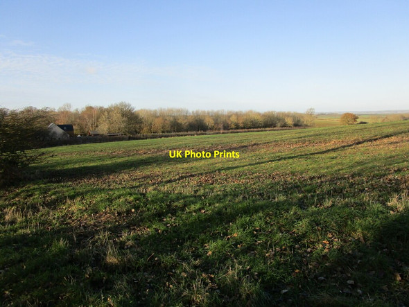 Photo 6"x4" Autumn sown crop, Pickwell Pickwell\/SK7811 c2021