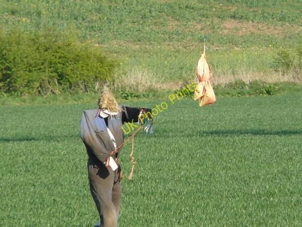Photo 6"x4" Scarecrow near Stanford on Soar Hoton c2009
