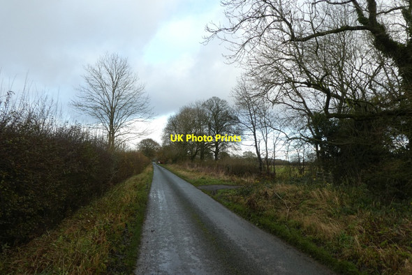 Photo 6"x4" Amblers Lane Shipton\/SE5558 c2021