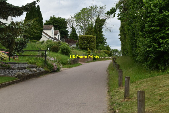 Photo 6"x4" Pedlars Lane Therfield c2021