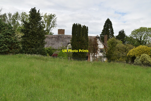 Photo 6"x4" Bury Hall Therfield c2021